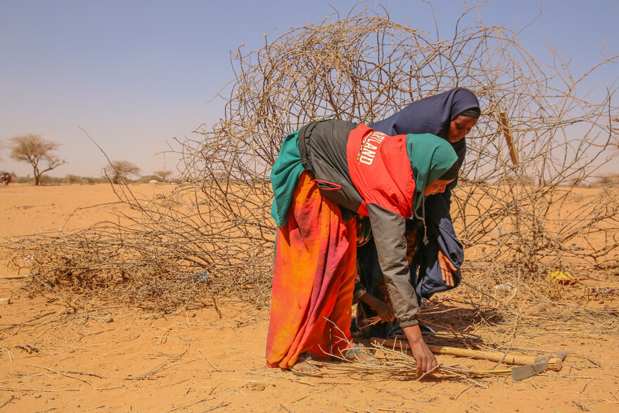 Frauen in Somalia sammeln Holz in der trockenen Landschaft. Frauen in Somalia sammeln Holz in der trockenen Landschaft.