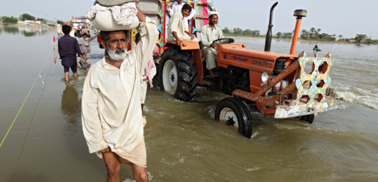 Flut Pakistan: Flüchtlinge mit Traktor Flut Pakistan: Flüchtlinge mit Traktor