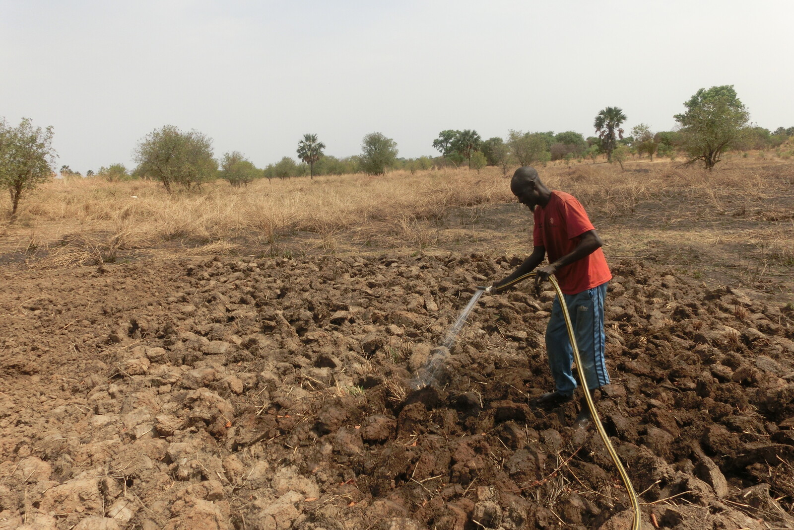 Ein Landwirt im Südsudan, Afrika