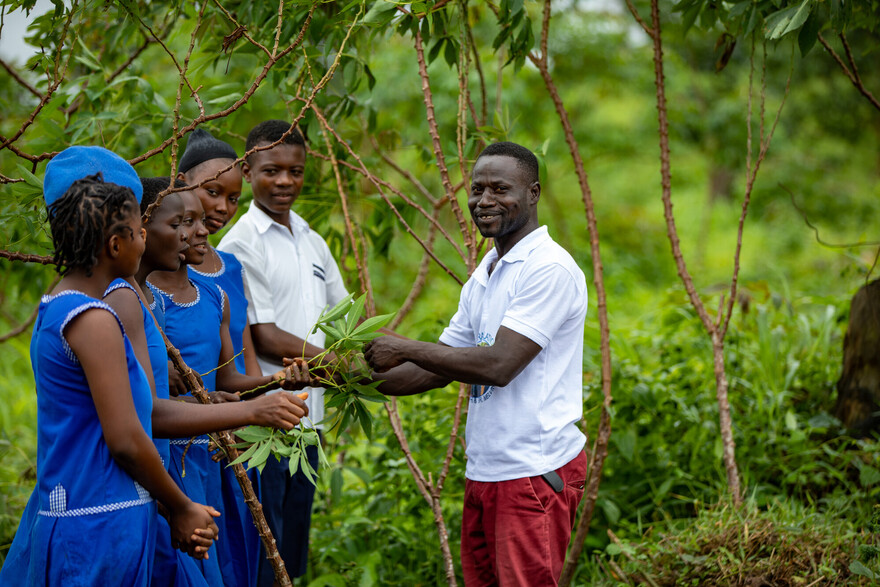 TERRA TECH fördert Schulgärten in Sierra Leone Pflanzenkunde in Sierra Leone