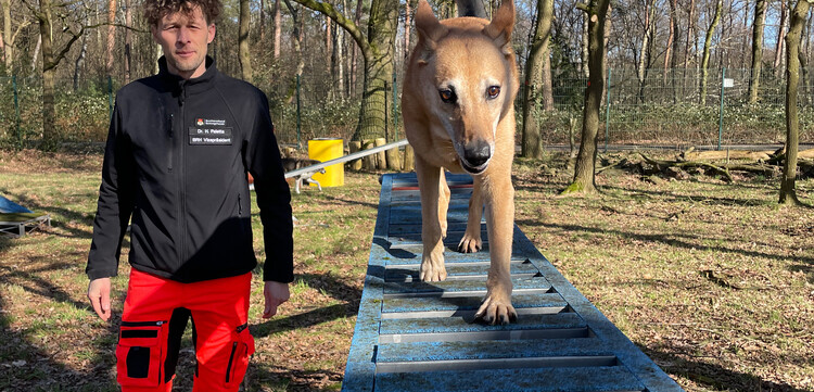 Henri Paletta mit seinem Hund auf einem Übungsplatz in NRW Henri Paletta mit seinem Hund auf einem Übungsplatz in NRW