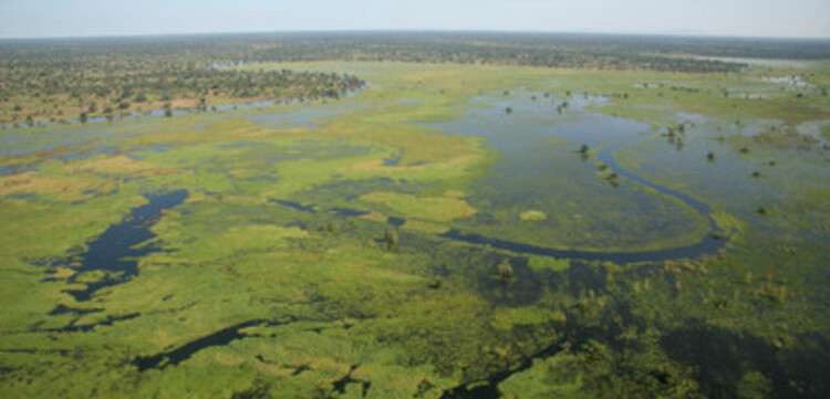 Flut Afrika, Überschwemmungsgebiet von oben