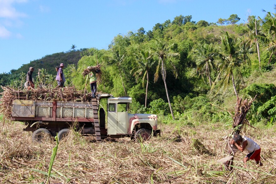 Taifun Haiyan Ackerbau Wiederaufbau