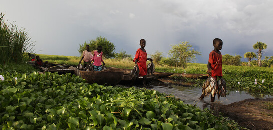 Nach Dürre, Krieg und Hungersnöten im Südsudan spitzt sich die Lage für die Bevölkerung dramatisch zu. Langfristige Projekte zur Ernährungssicherung sollen den Menschen vor Ort dauerhaft helfen.