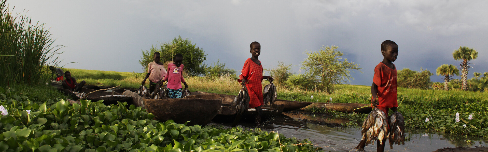 Nach Dürre, Krieg und Hungersnöten im Südsudan spitzt sich die Lage für die Bevölkerung dramatisch zu. Langfristige Projekte zur Ernährungssicherung sollen den Menschen vor Ort dauerhaft helfen.