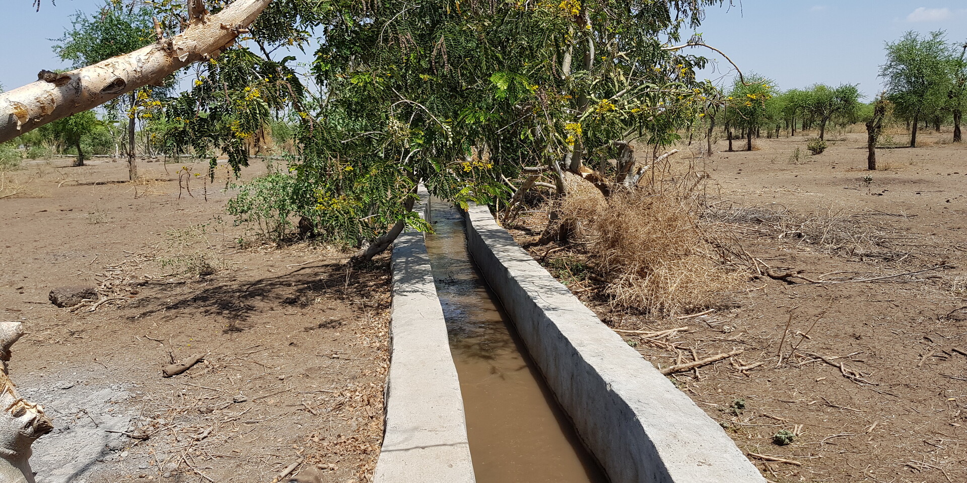 Kanäle in Äthiopien befördern das nötige Wasser zu den Feldern Kanäle in Äthiopien befördern das nötige Wasser zu den Feldern