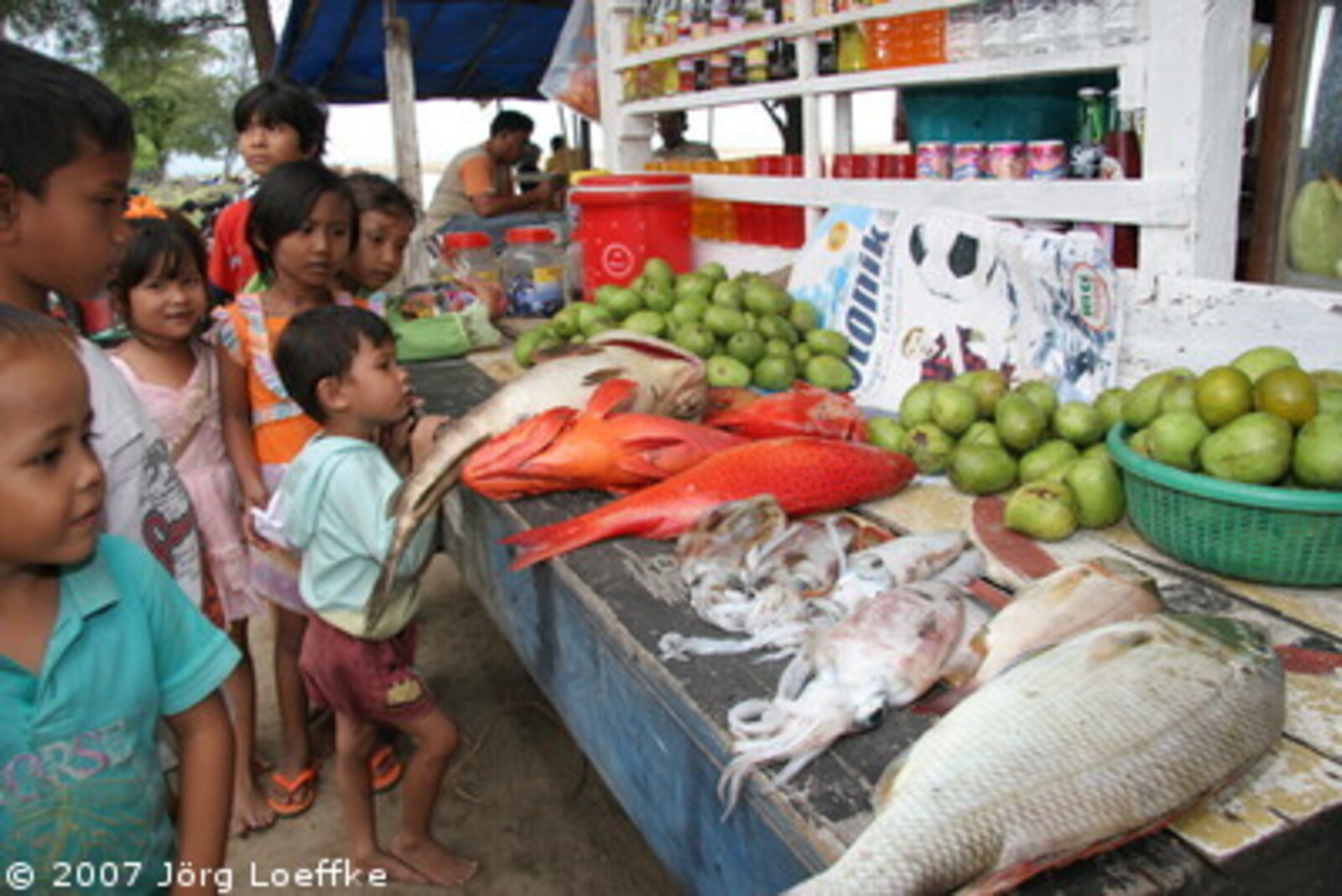 Tsunami-Hilfe Indonesien: frische Fische in Susoh
