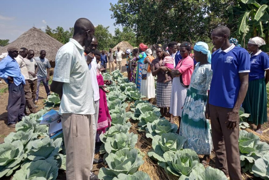 Hilfsprojekt für Landwirt:innen in Uganda