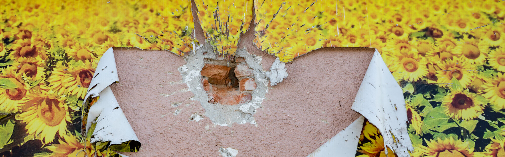 Zerstörung durch Krieg in der Ukraine an einer Hauswand mit Sonnenblumen-Tapete
