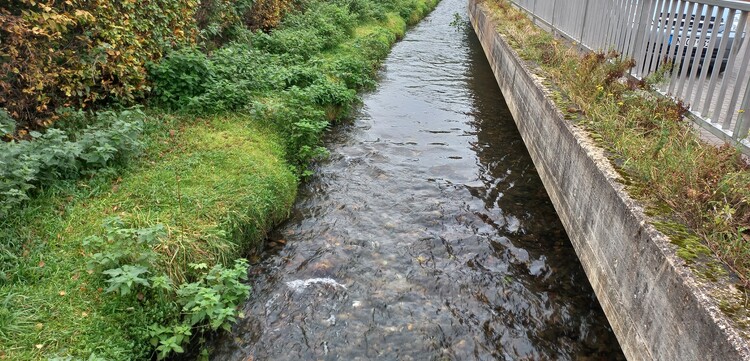 Ein winziger Fluss neben dem Haus der Perlebergs