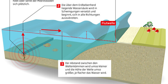 Infografik: Entstehung eines Tsunamis