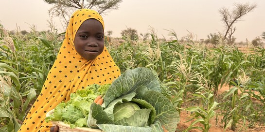 Ein Mädchen in Niger, Hilfsprojekt von World Vision
