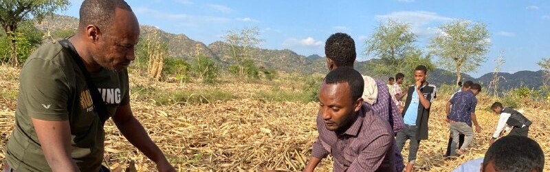 Hilfsprojekt für Landwirte in Äthiopien, wo eine Heuschreckenplage herrscht