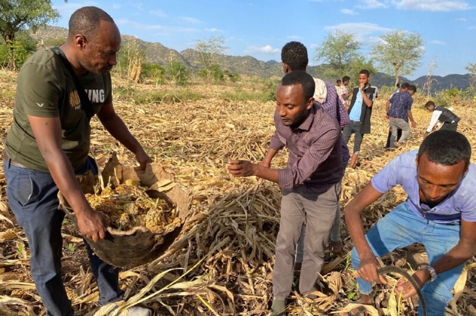 Hilfsprojekt für Landwirte in Äthiopien, wo eine Heuschreckenplage herrscht
