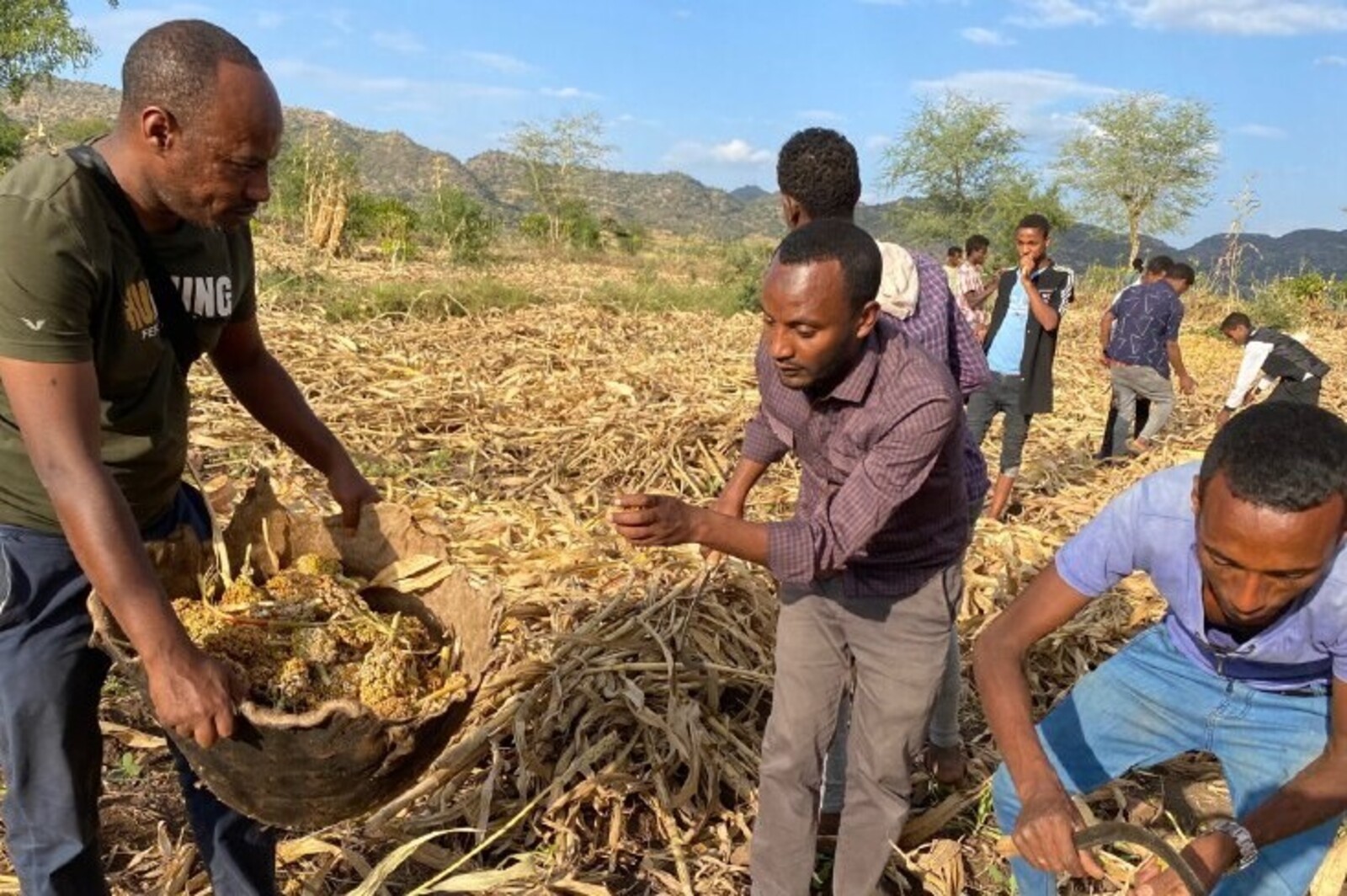 Hilfsprojekt für Landwirte in Äthiopien, wo eine Heuschreckenplage herrscht