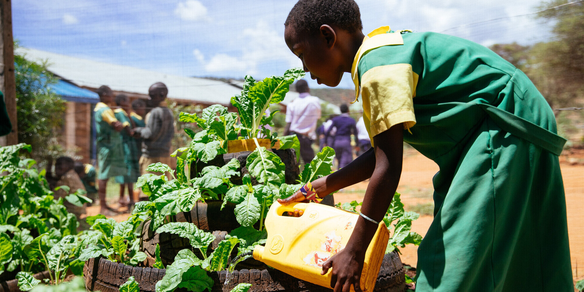 Ein Mädchen in Kenia gießt eine Gemüsepflanze