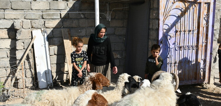 Eine Frau mit ihren Kindern und Schafen im Irak Eine Frau mit ihren Kindern und Schafen im Irak