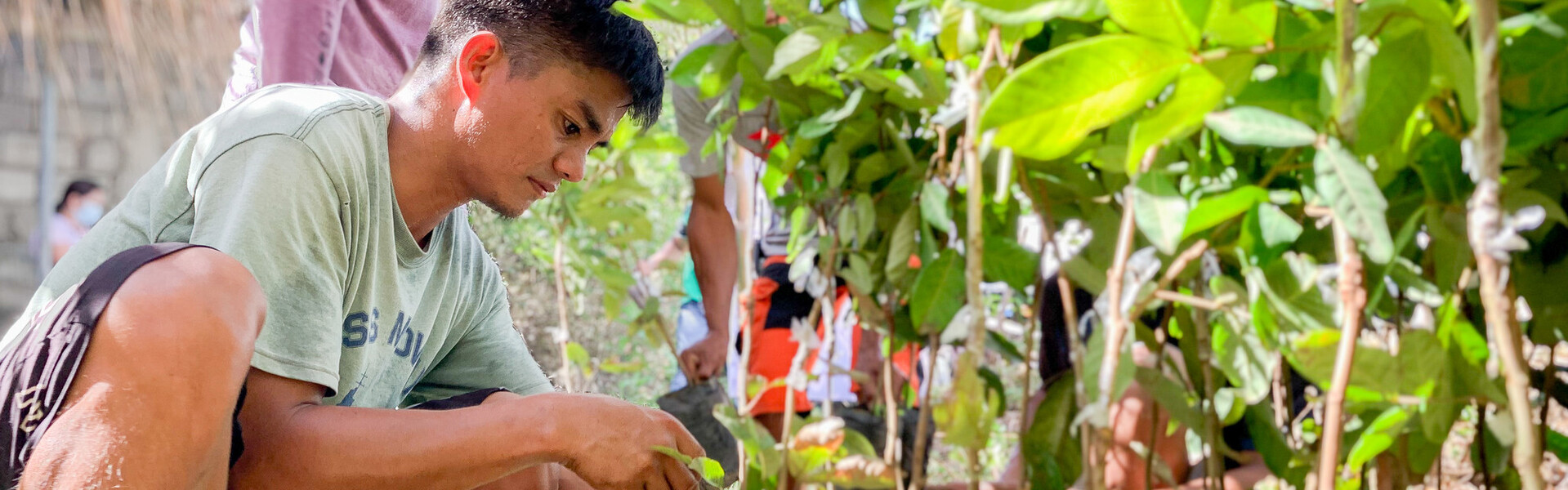 Zwei Männer auf den Philippinen kümmern sich um Setzlinge