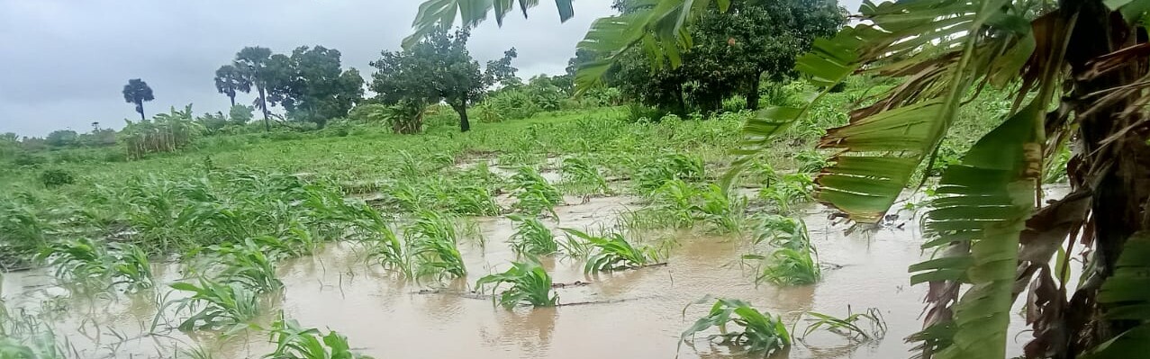 Zerstörte und überschwemmte Felder nach Zyklonen in Mosambik Zerstörte und überschwemmte Felder nach Zyklonen in Mosambik