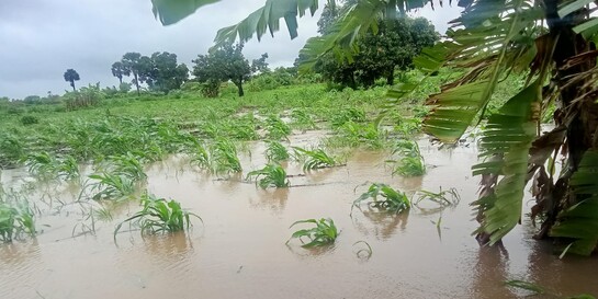 Zerstörte und überschwemmte Felder nach Zyklonen in Mosambik