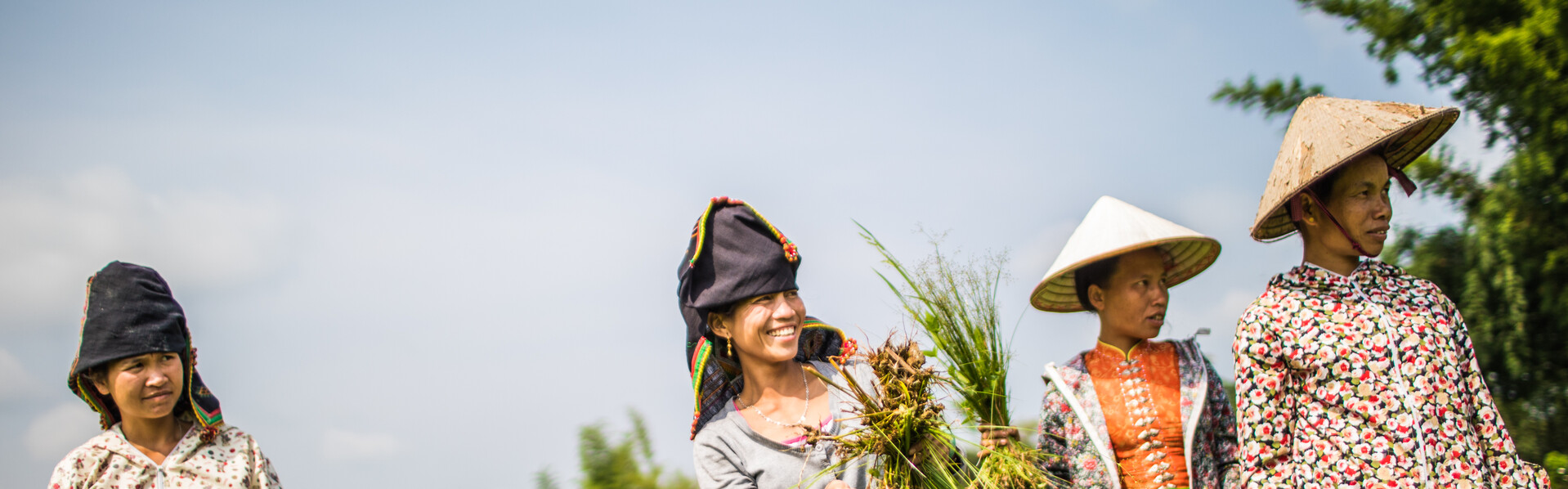 Die Menschen in Vietnam sind auf den Reisanbau angewiesen, Wetterextreme gefährden die Ernte
