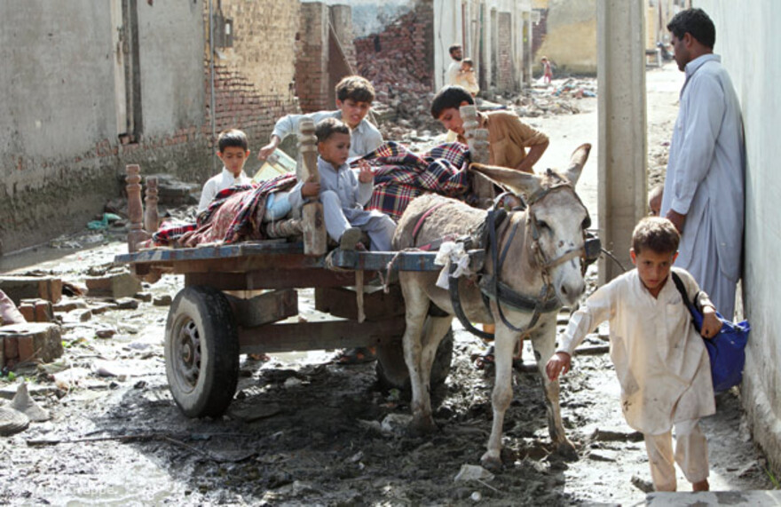 2010.08.27eselskarren 27.08.2010, Pakistan, Nowshera, Peshawar - Hochwasser Pakistan. Nachdem das Wasser zum Teil abgeflossen ist, ziehen die Bewohner zurück in ihre Häuser.