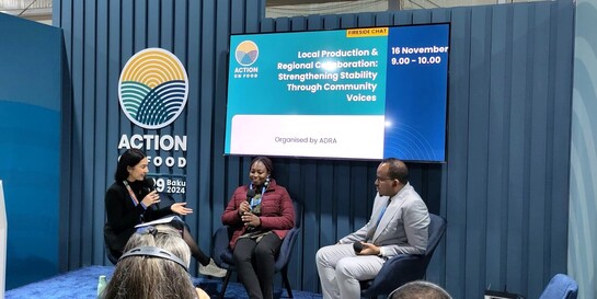 Panel mit Mitarbeiter:innen von ADRA bei der COP29