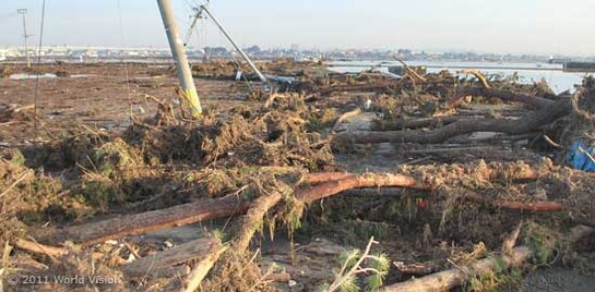 Erdbeben und Tsunami Japan, überall Bilder der Zerstörung