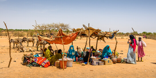 Menschen mit ihrem Vieh auf einem kleinen Markt im Tschad