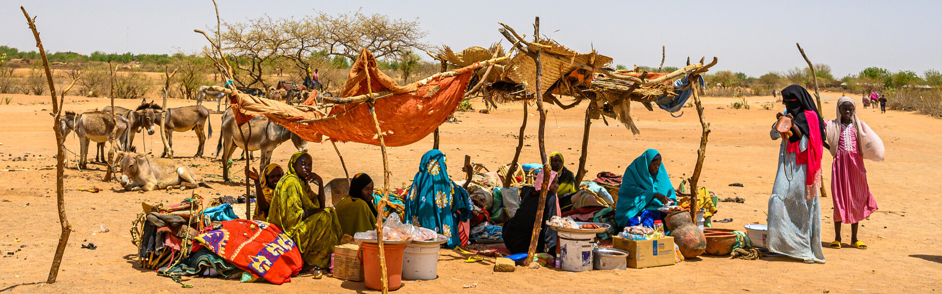 Menschen mit ihrem Vieh auf einem kleinen Markt im Tschad