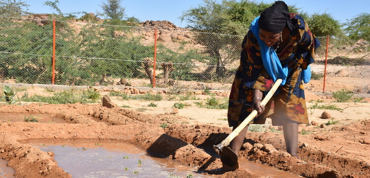 Eine Frau mit einer Hacke bearbeitet ein Feld mit Wasserflächen in Niger