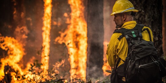 Ein Feuerwehrmann im Einsatz bei einem Waldbrand (Symbolfoto)