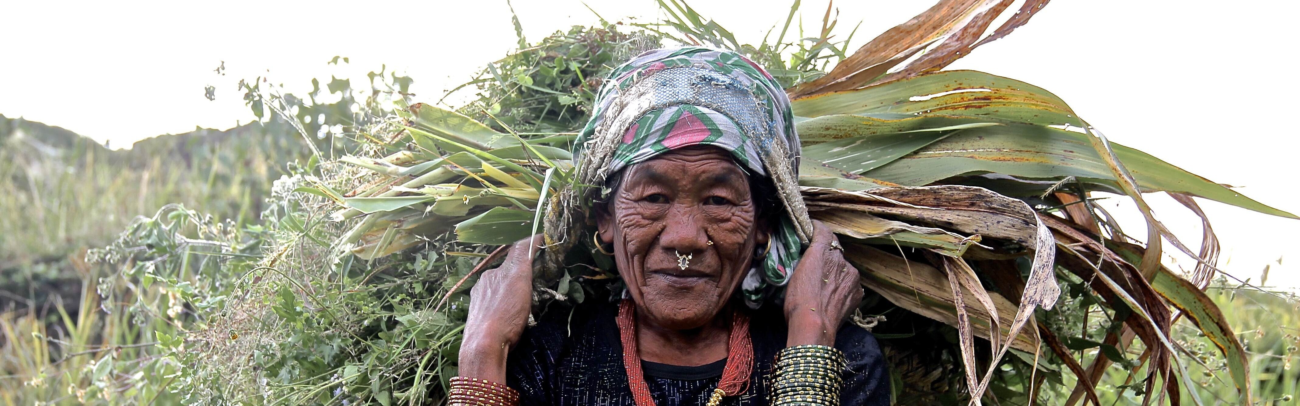Erdbeben Nepal Frau Landwirtschaft