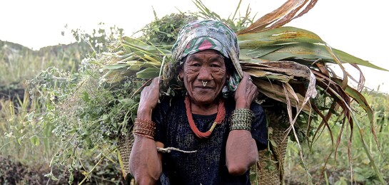Erdbeben Nepal Frau Korb Landwirtschaft