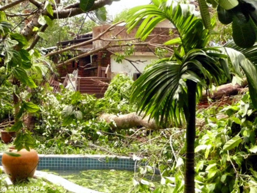 Zyklon Myanmar: Zerstörter Garten