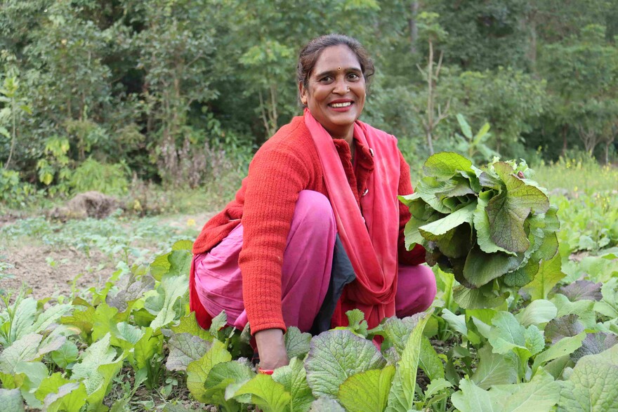 Eine lächelnde Frau hockt in einem Feld in Nepal und erntet Gemüse
