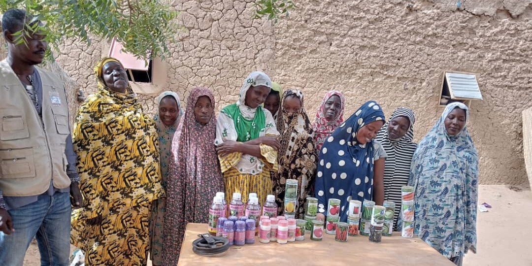 Frauen aus Mali und Niger bekommen klimaresistentes Saatgut und energieeffiziente Kochöfen, die Brennstoff sparen