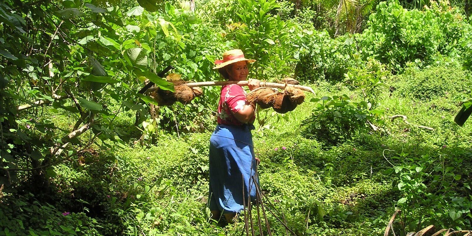 Ein Frau in einem Wald auf der Insel Nauru