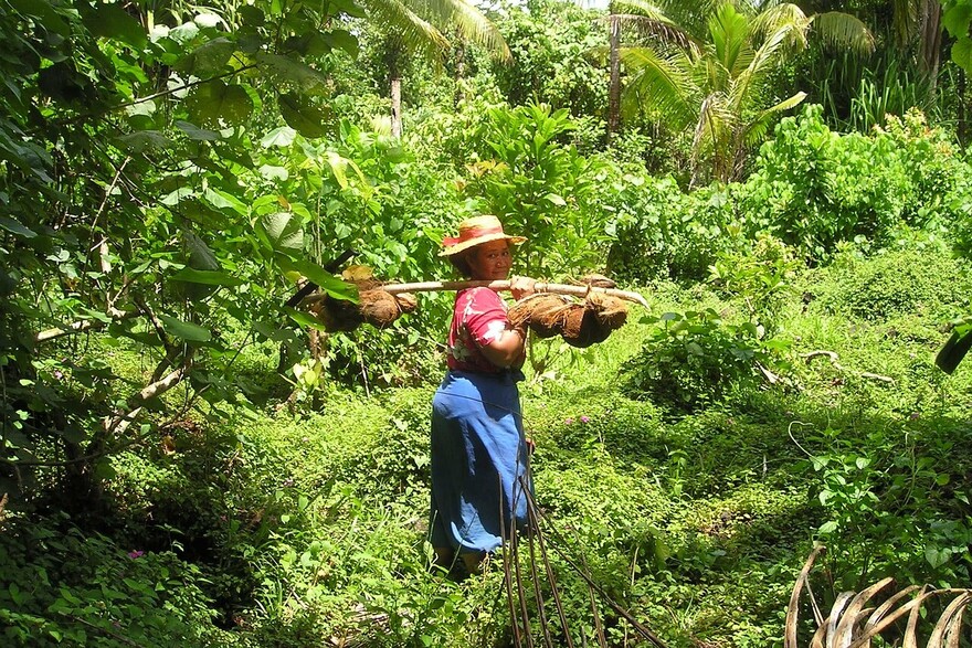 Eine Frau in einem Wald auf der Insel Nauru