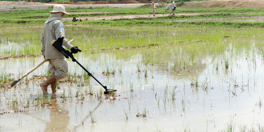 Ein Helfer ist mit einem Minendetektor auf der Suche nach Landminen in einem Reisfeld in Laos