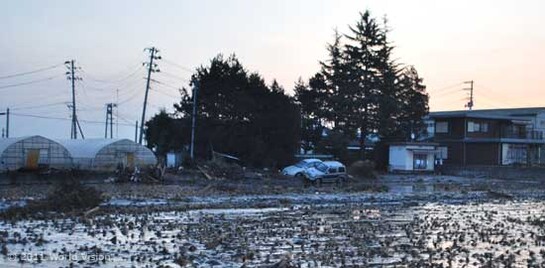 Erdbeben Japan, nach dem Tsunami bleibt Schlamm zurück