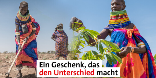 Verschenken Sie eine Spende