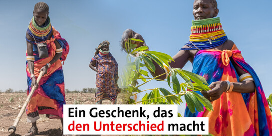 Verschenken Sie eine Spende
