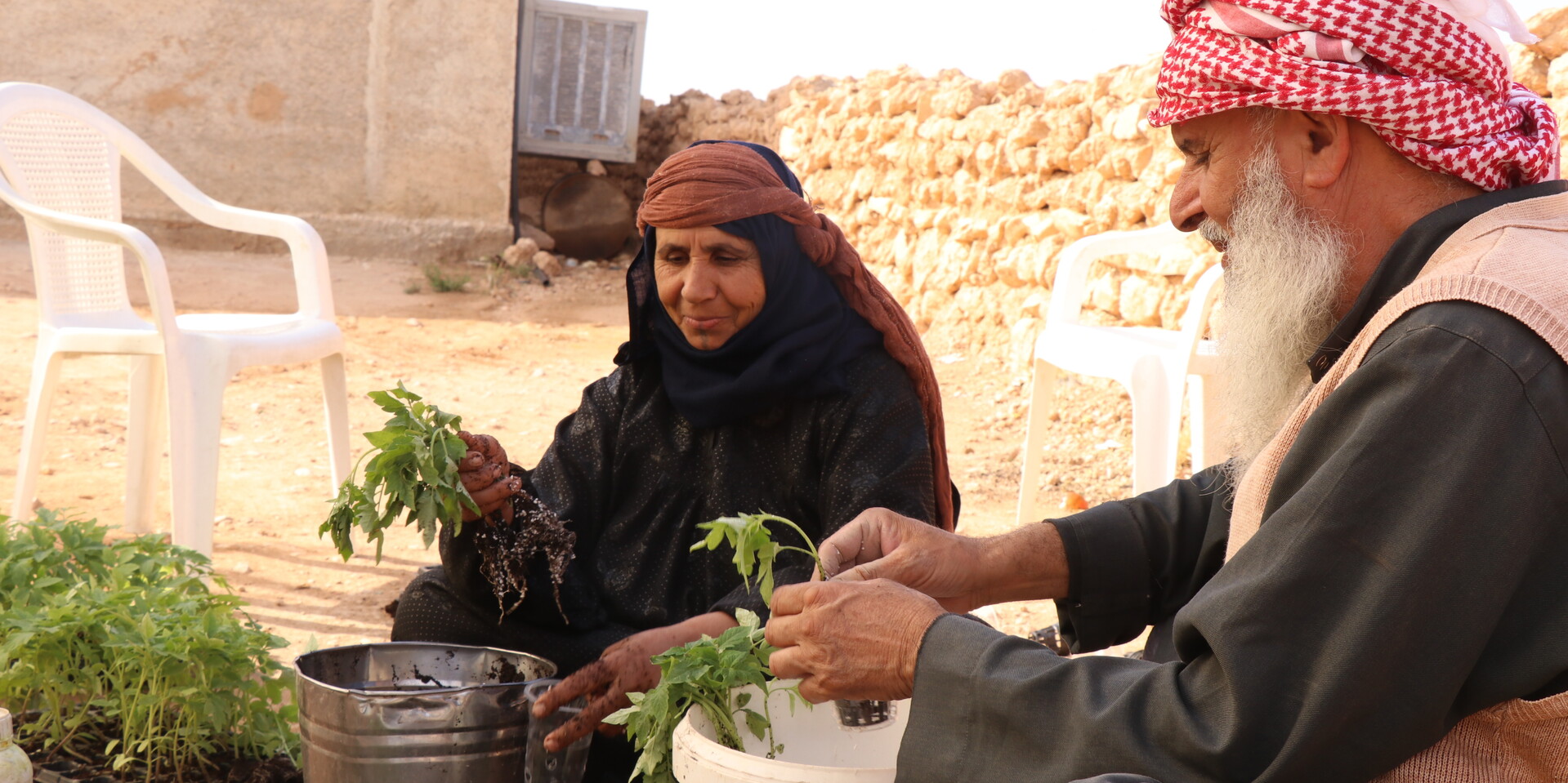 Help unterstützt rückkehrende Binnenvertriebene im Norden Syriens und fördert dort die Wiederbelebung der Landwirtschaft Help unterstützt rückkehrende Binnenvertriebene im Norden Syriens und fördert dort die Wiederbelebung der Landwirtschaft