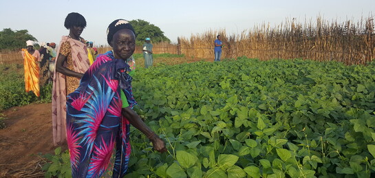 Eine Frau im Südsudan arbeitet auf dem Feld.