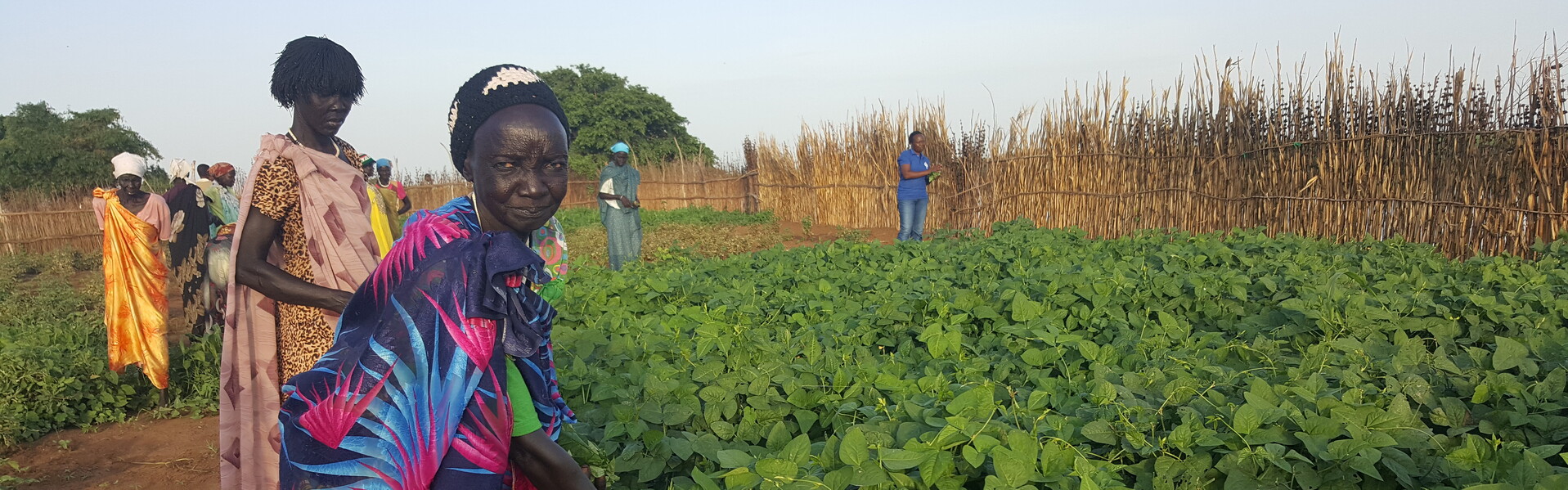 Eine Frau im Südsudan arbeitet auf dem Feld.
