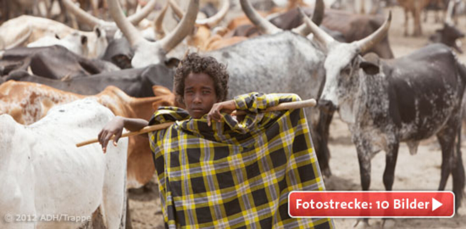 Hunger und Dürre in Ostafrika: Mehr als 13 Millionen Menschen sind auf Nahrungsmittelhilfe, Wasserversorgung und medizinische Nothilfe angewiesen.