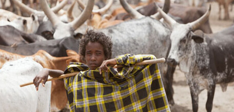 Hunger und Dürre in Ostafrika: Mehr als 13 Millionen Menschen sind auf Nahrungsmittelhilfe, Wasserversorgung und medizinische Nothilfe angewiesen.