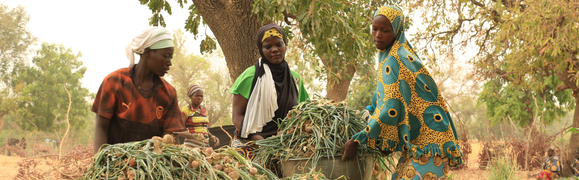 Frauen bei der Landwirtschaft in Burkina Faso © Help - Hilfe zur Selbsthilfe/Morris Gindi