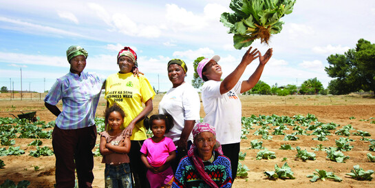 Eine Familie erntet Gemüse in Afrika. In von Dürre und Trockenheit beherrschten Gebiten hilft dürreresistentes Saatgut, um die Ernte zu sichern.